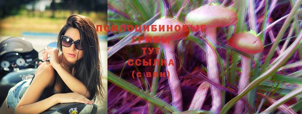 стафф Новокубанск