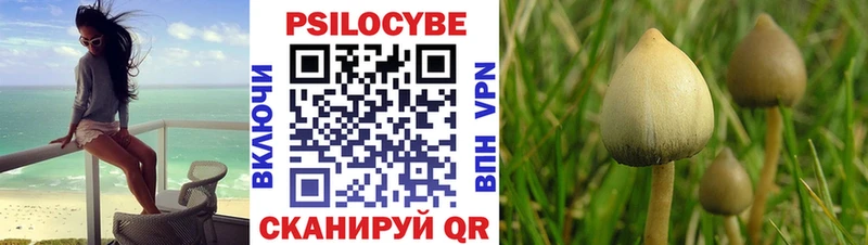 Галлюциногенные грибы Psilocybine cubensis  mega как войти  Торопец 